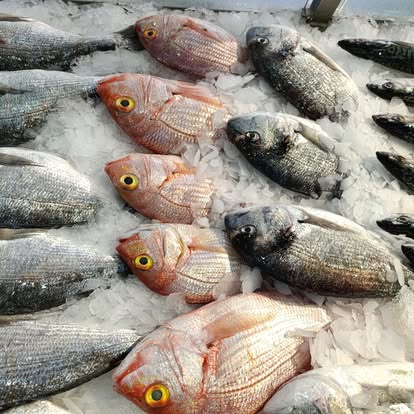 Produit La Dorade Royale