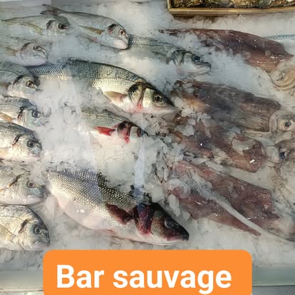 Produit La Dorade Royale