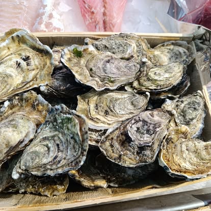 Produit La Dorade Royale