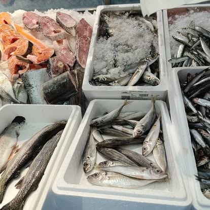 Produit La Dorade Royale