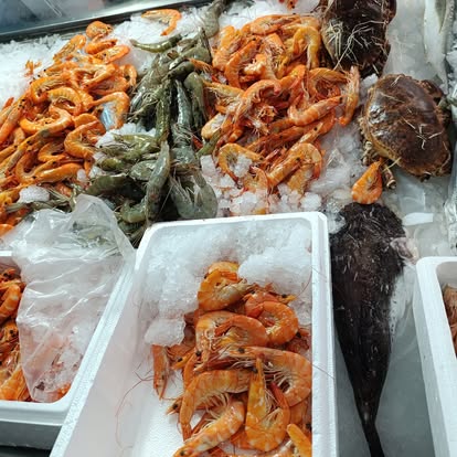 Produit La Dorade Royale