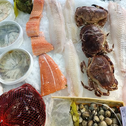 Produit La Dorade Royale