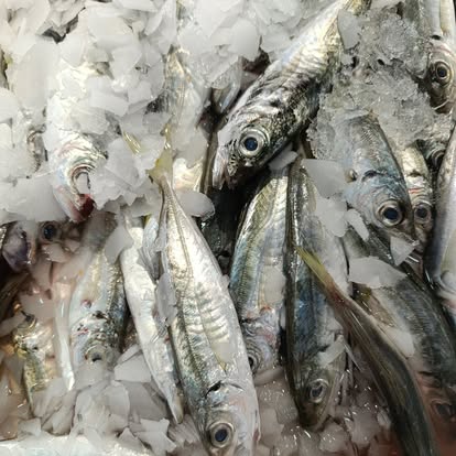 Produit La Dorade Royale