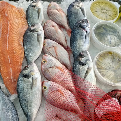 Produit La Dorade Royale