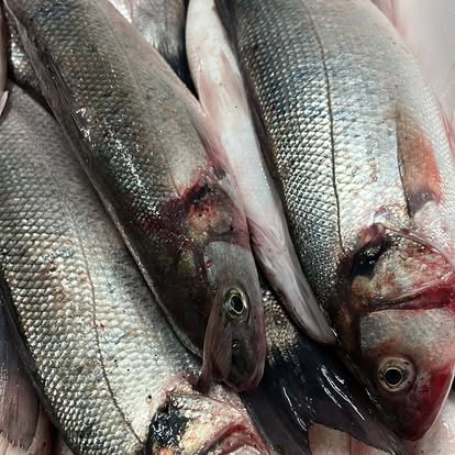 Produit La Dorade Royale