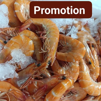 Produit La Dorade Royale