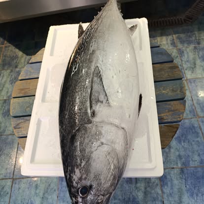 Produit La Dorade Royale