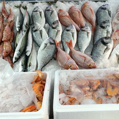 Produit La Dorade Royale