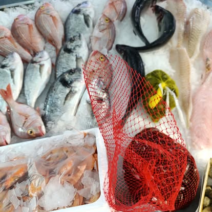 Produit La Dorade Royale
