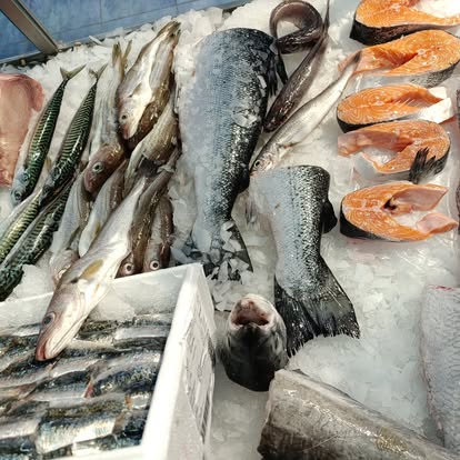 Produit La Dorade Royale