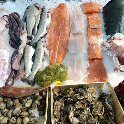 Produit La Dorade Royale