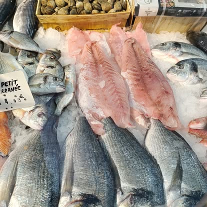 Produit La Dorade Royale