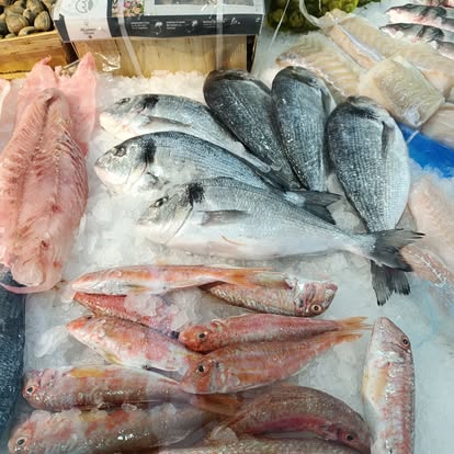 Produit La Dorade Royale