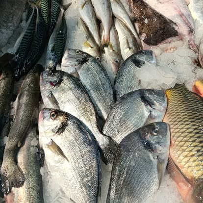 Produit La Dorade Royale